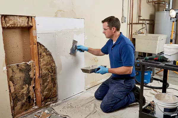 Mold and Drywall Repair Kaysville