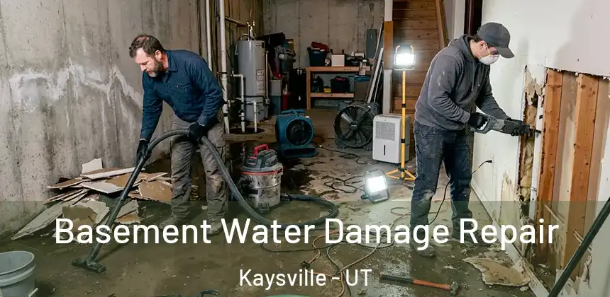  Basement Water Damage Repair Kaysville - UT