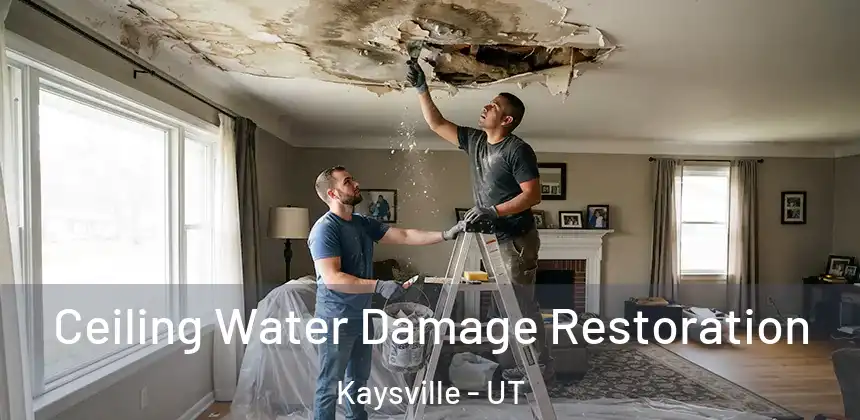  Ceiling Water Damage Restoration Kaysville - UT