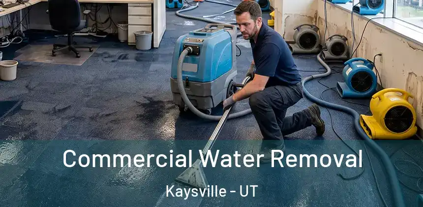  Commercial Water Removal Kaysville - UT