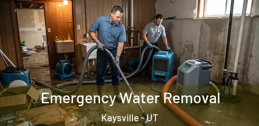 Emergency Water Removal Kaysville - UT