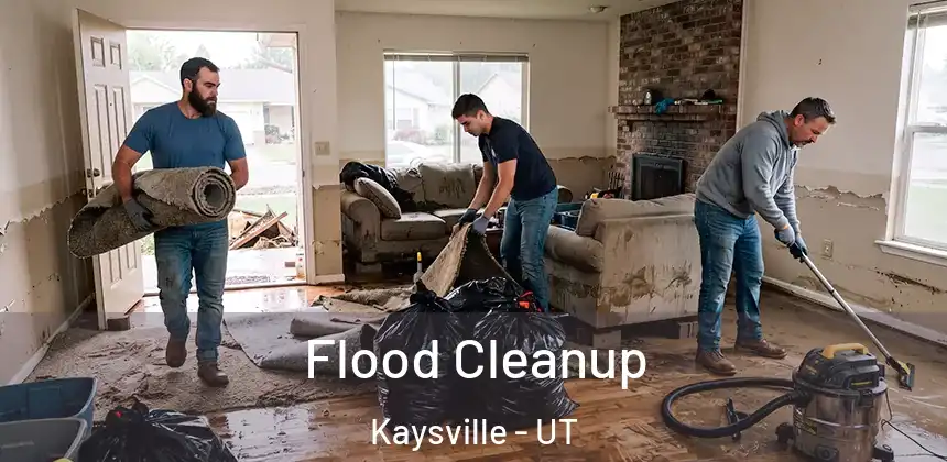  Flood Cleanup Kaysville - UT