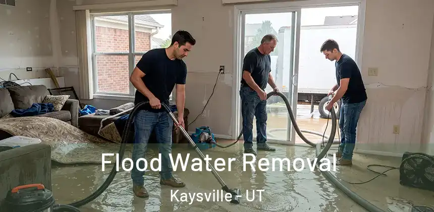  Flood Water Removal Kaysville - UT
