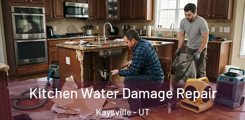  Kitchen Water Damage Repair Kaysville - UT