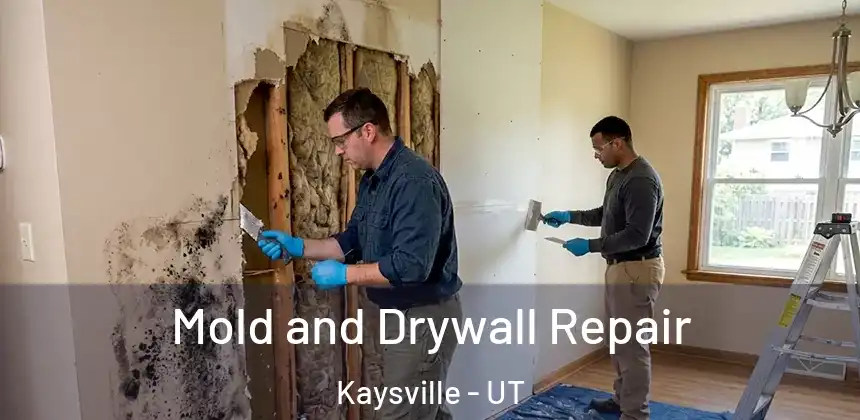 Mold and Drywall Repair Kaysville - UT