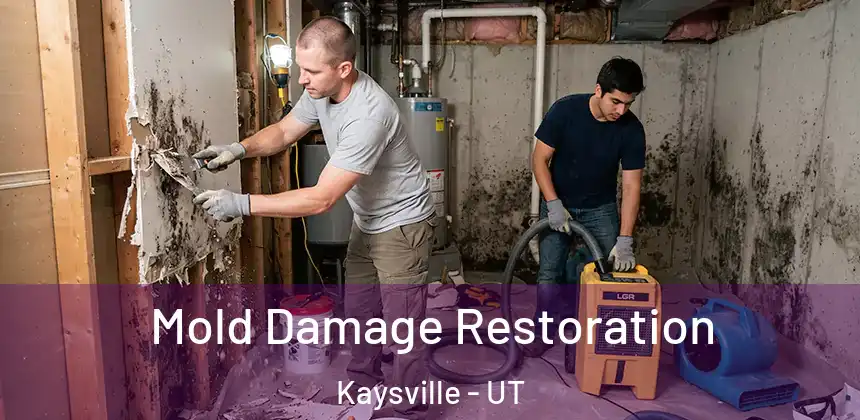  Mold Damage Restoration Kaysville - UT