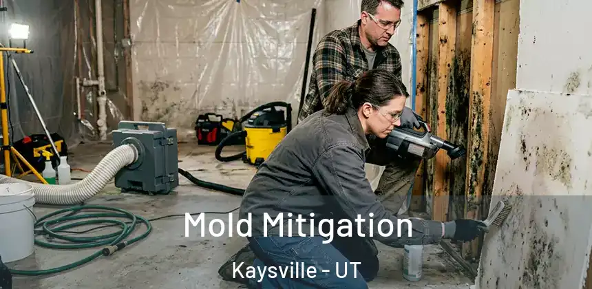 Mold Mitigation Kaysville - UT