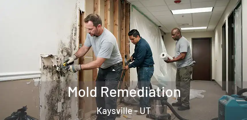  Mold Remediation Kaysville - UT