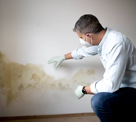 Mold Removal Service in Kaysville, UT