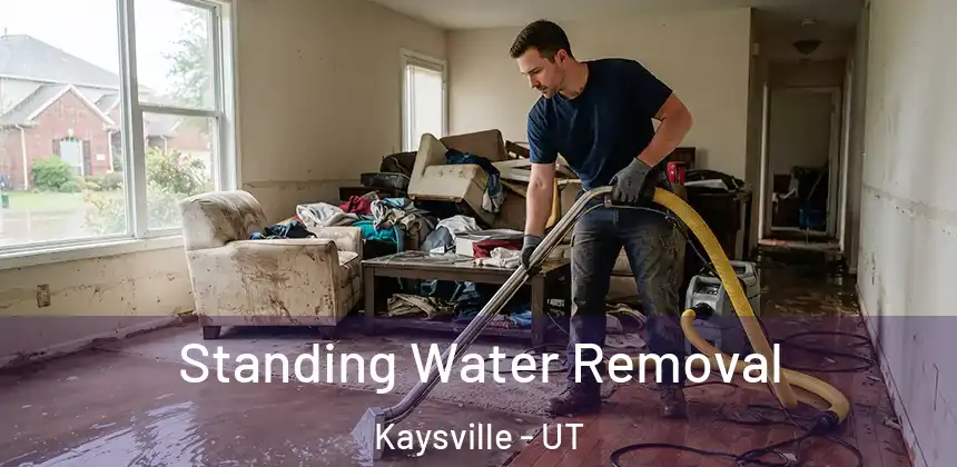  Standing Water Removal Kaysville - UT