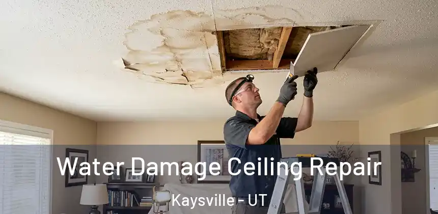  Water Damage Ceiling Repair Kaysville - UT