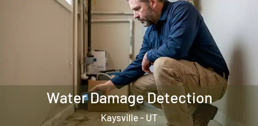  Water Damage Detection Kaysville - UT