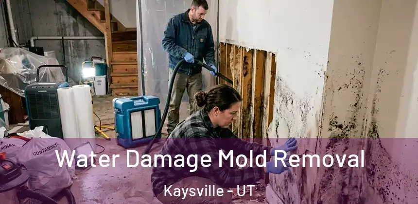  Water Damage Mold Removal Kaysville - UT