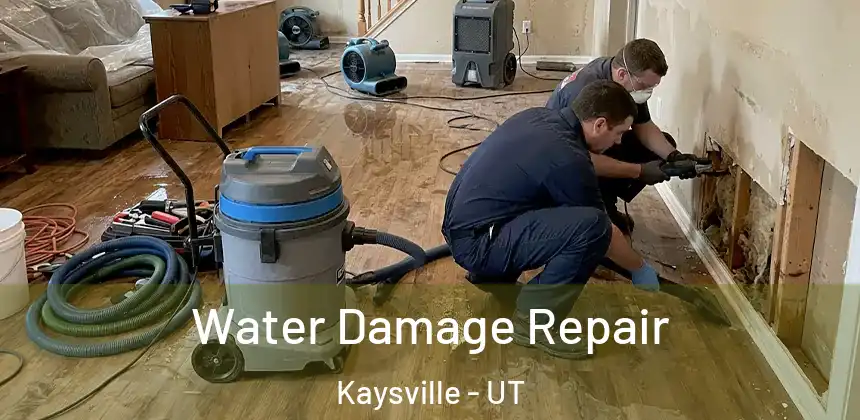  Water Damage Repair Kaysville - UT