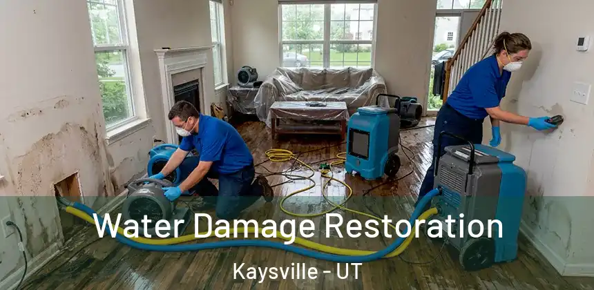  Water Damage Restoration Kaysville - UT