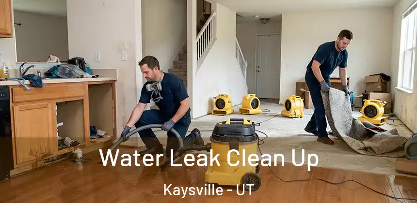  Water Leak Clean Up Kaysville - UT