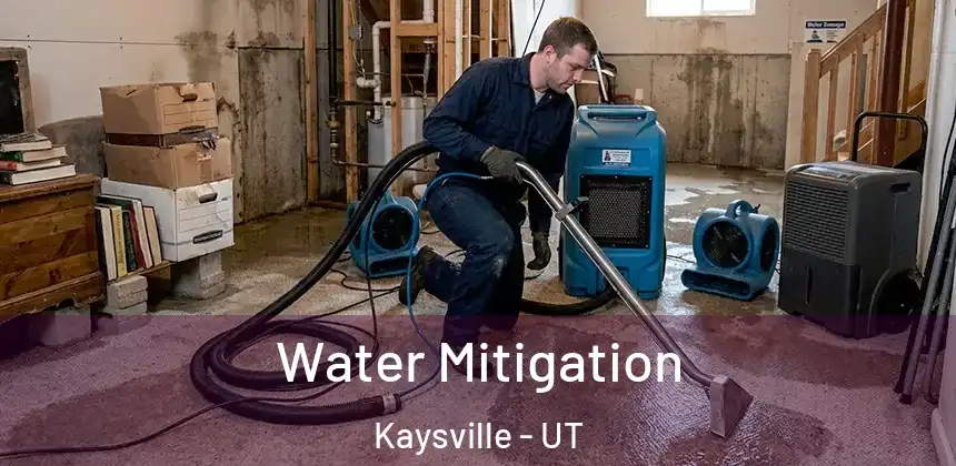  Water Mitigation Kaysville - UT