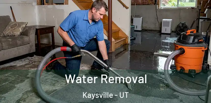 Water Removal Kaysville - UT