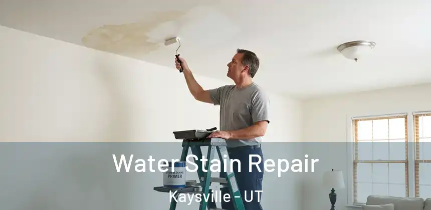 Water Stain Repair Kaysville - UT